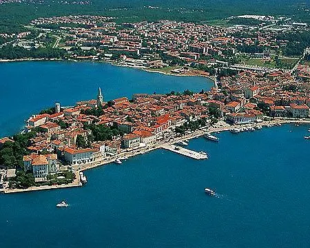Daire Ana Marija